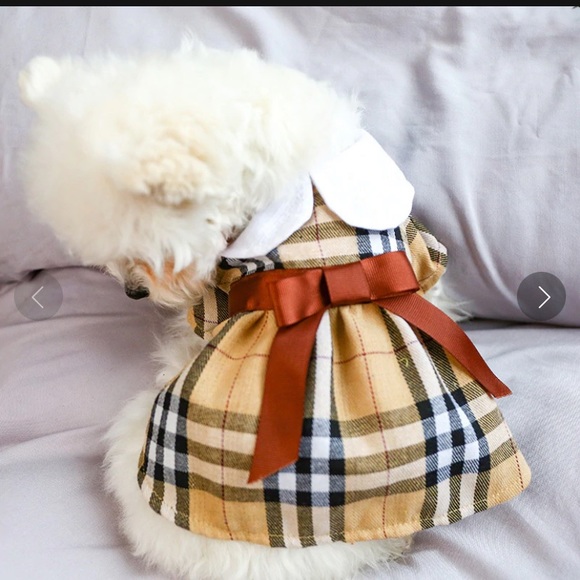 💗💗💗HOST PICK!💗💗💗 NWT Plaid Puppy Dog Dress - Picture 2 of 6